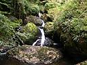 ...prés de la cascade de Salins