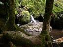 ...prés de la cascade de Salins