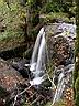 ...prés de la cascade de Salins